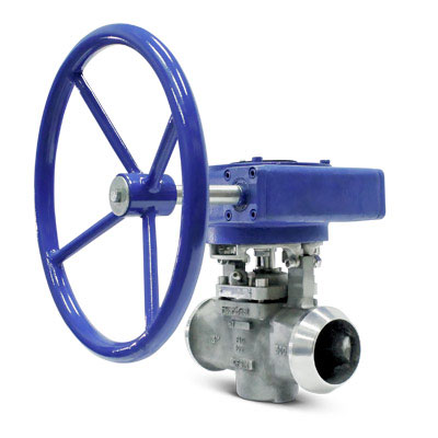 custom plug valve FluoroSeal